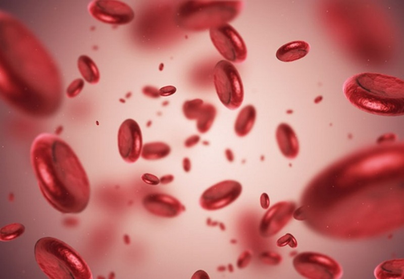 Thiếu hụt hồng cầu hay huyết sắc tố gây ảnh hưởng đến hoạt động các cơ quan