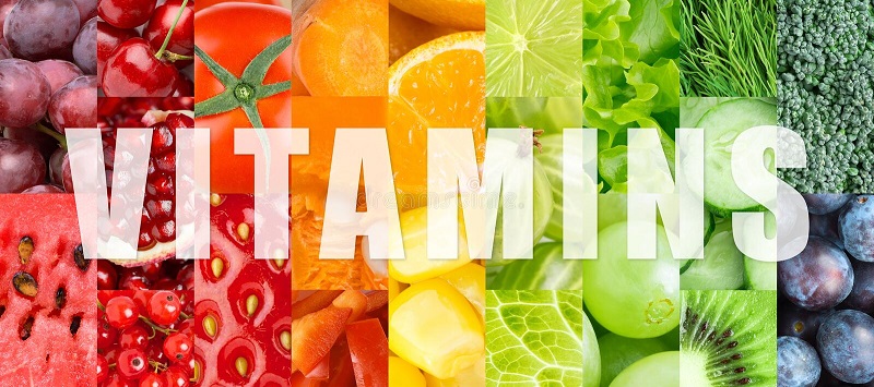 Vitamin là chất dinh dưỡng quan trọng để phòng chống bệnh tật 