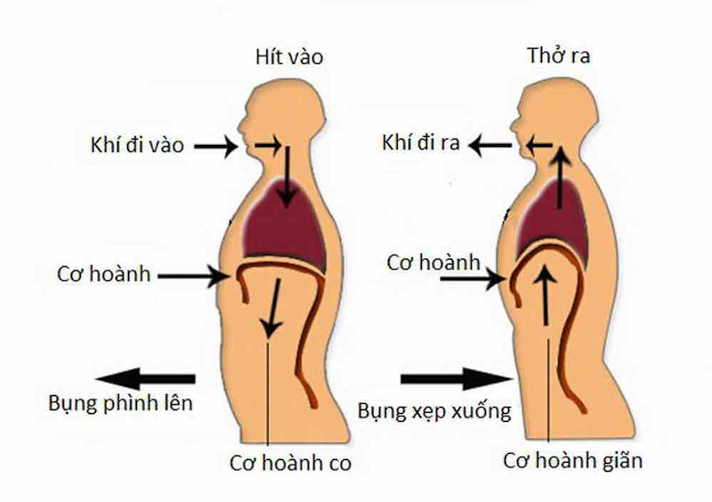 Phương pháp hít thở bằng cơ hoành