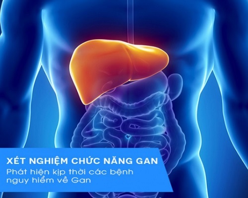 những điều cần biết về xét nghiệm đánh giá chức năng gan