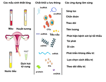  Sơ đồ tổng quan về các mẫu sinh học của sinh thiết lỏng, các dấu ấn sinh học và các ứng dụng lâm sàng của chúng trong ung thư nội mạc tử cung