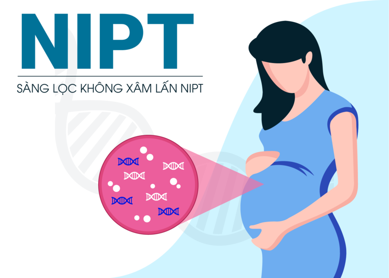 Xét nghiệm NIPT - phương pháp sàng lọc không xâm lấn, mẹ bầu an tâm kết quả sang lọc thai nhi