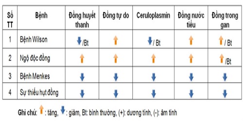  Sự thay đổi về mức độ Đồng, Đồng tự do và Ceruleoplasmin trong huyết thanh, nước tiểu và gan ở những bệnh có liên quan đến chuyển hóa Đồng