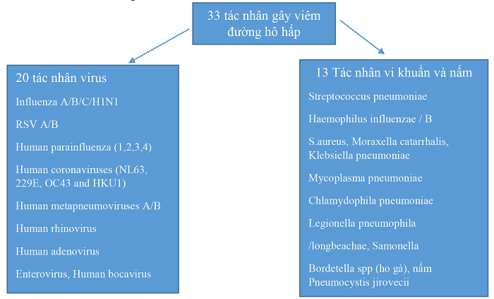 Phát hiện các bệnh lý về phổi tại MEDLATEC nhanh chóng chính xác