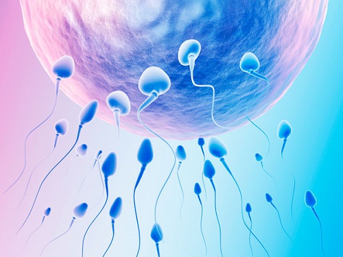 bơm tinh trùng vào tử cung là phương pháp hỗ trợ sinh sản giúp tăng khả năng thụ thai