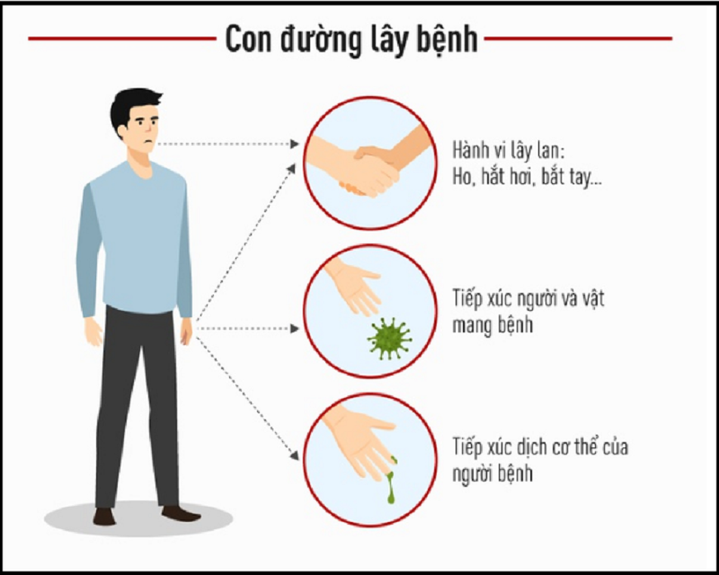 Con đường lây nhiễm của virus Vũ Hán