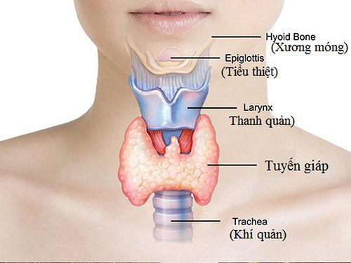 Mổ tuyến giáp: Những điều cần biết, chi phí và phương pháp phẫu thuật