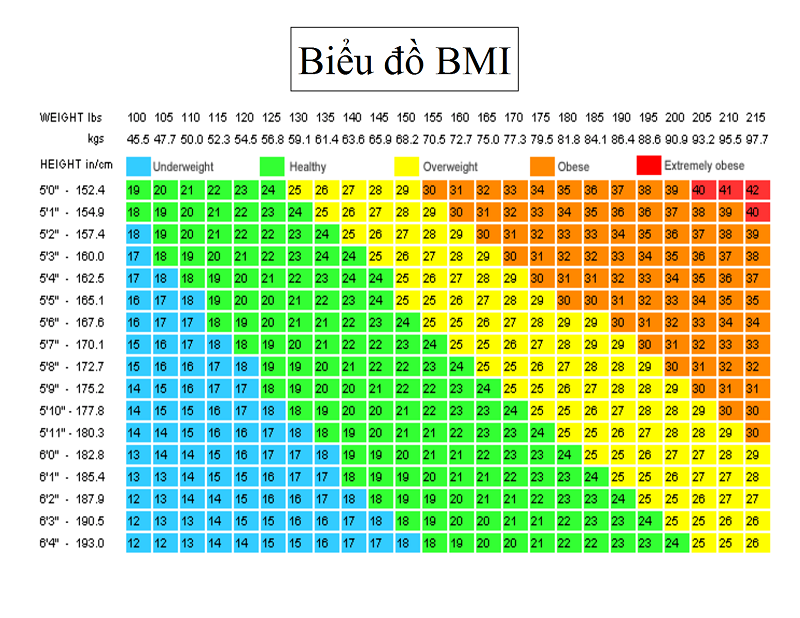 Chỉ số BMI của mẹ là một trong những yếu tố ảnh hưởng lớn đến sức khỏe của thai nhi!