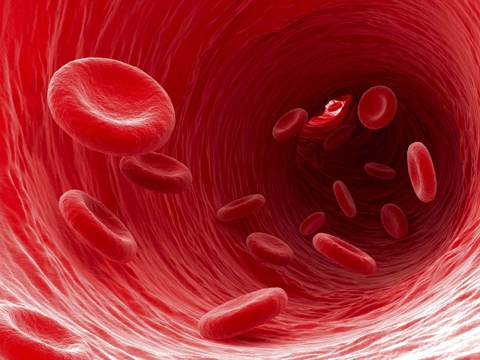 Xét nghiệm tổng phân tích tế bào máu 32 chỉ số | Medlatec