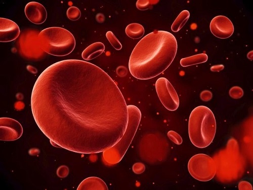 xét nghiệm RBC giúp kiểm tra hồng cầu trong máu