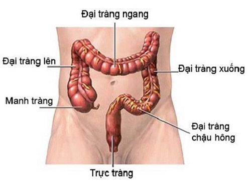 xét nghiệm CEA giúp chẩn đoán mắc cơ ung thư đại trực tràng