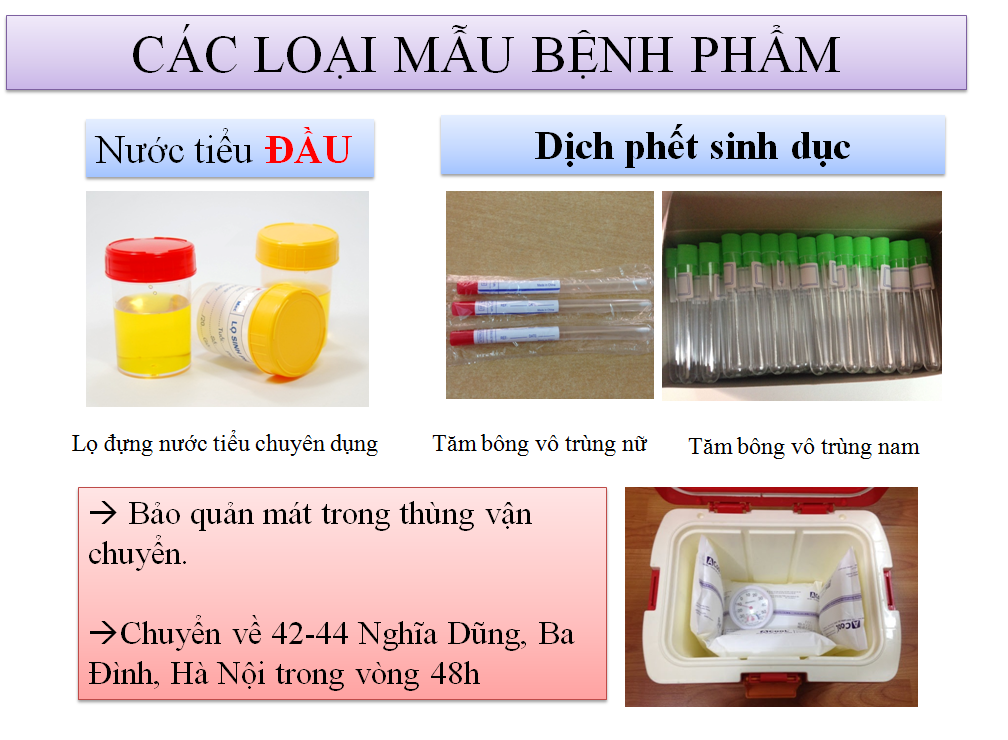 Các loại mẫu bệnh phẩm xét nghiệm