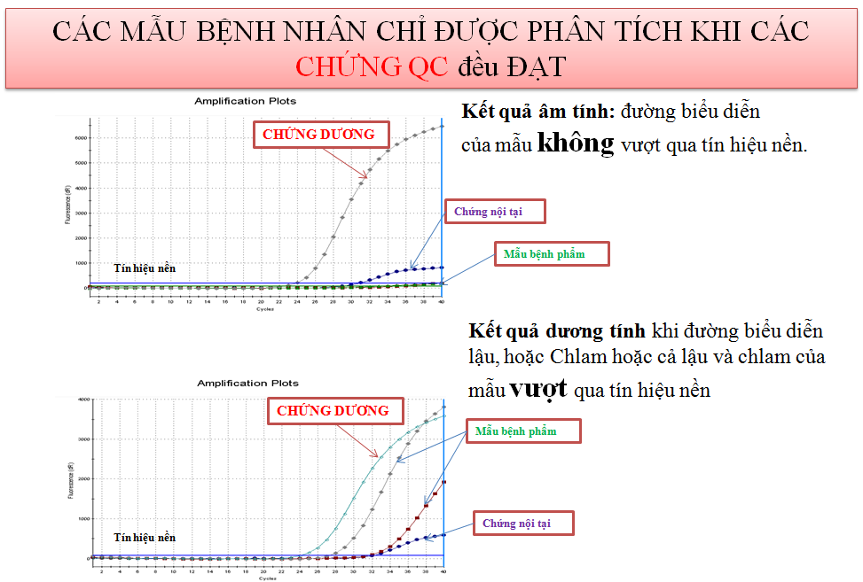 Sơ đồ phân tích kết quả xét nghiệm