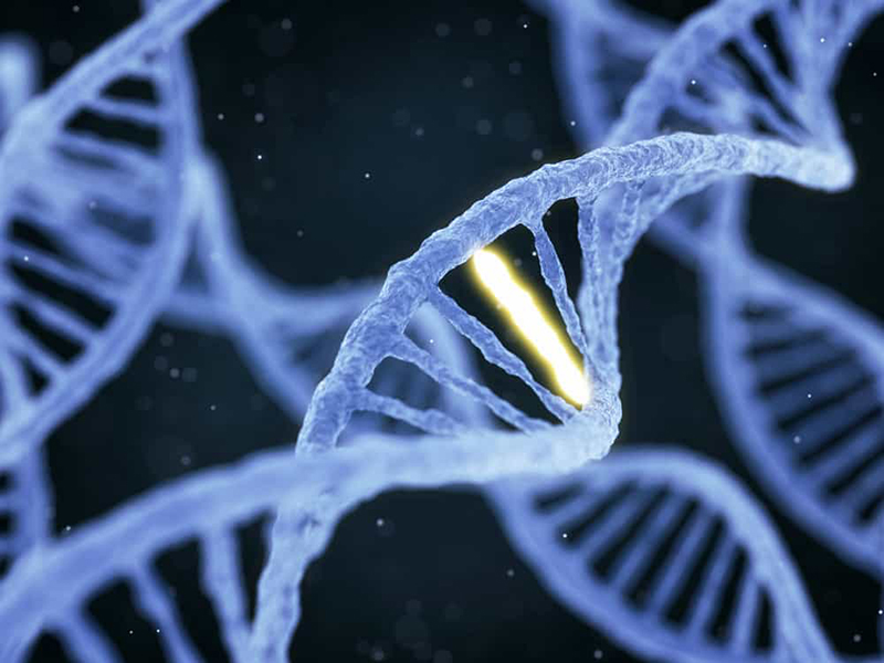 Sự bất thường trong quá trình phân chia của gen là nguyên nhân gây ra một số căn bệnh ung thư