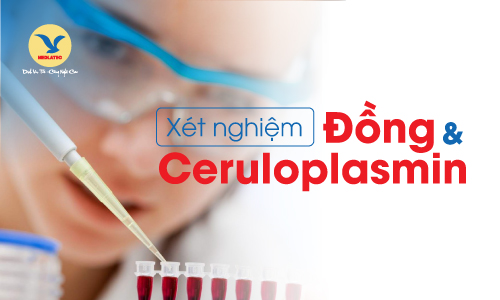 Xét nghiệm Đồng và Ceruloplasmin: các dấu ấn của rối loạn chuyển hóa đồng