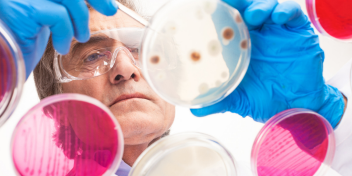 Nhiều vi sinh vật, đặc biệt là vi khuẩn mycobacteria và vi khuẩn cutibacteria được coi là tác nhân căn nguyên có thể có của bệnh sarcoidosis.