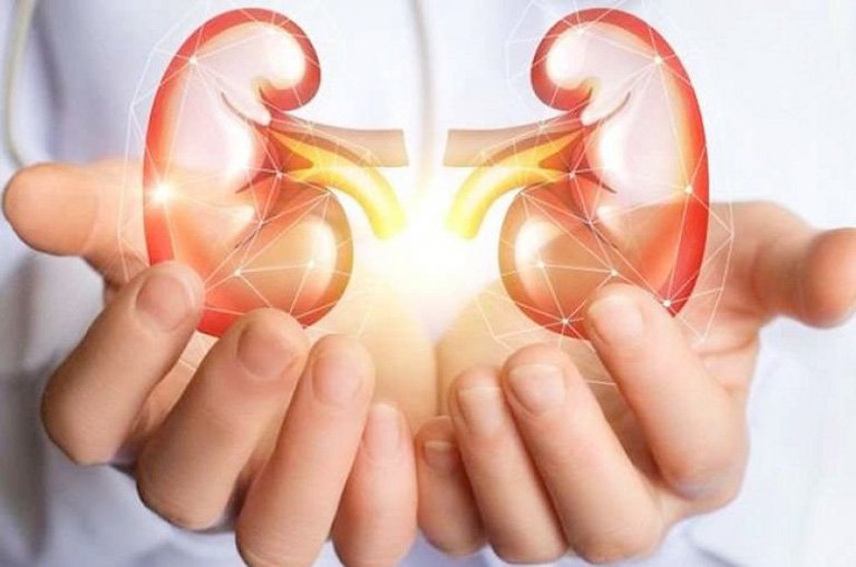 Bình thường thận bài tiết kali nên các rối loạn làm giảm chức năng của thận có thể dẫn đến tăng kali máu. 