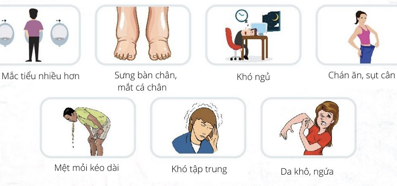 4. Các biến chứng của bệnh thận mạn