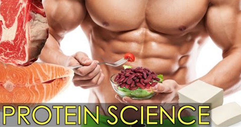 Protein và những tác động của nó đối với cơ thể con người | Medlatec