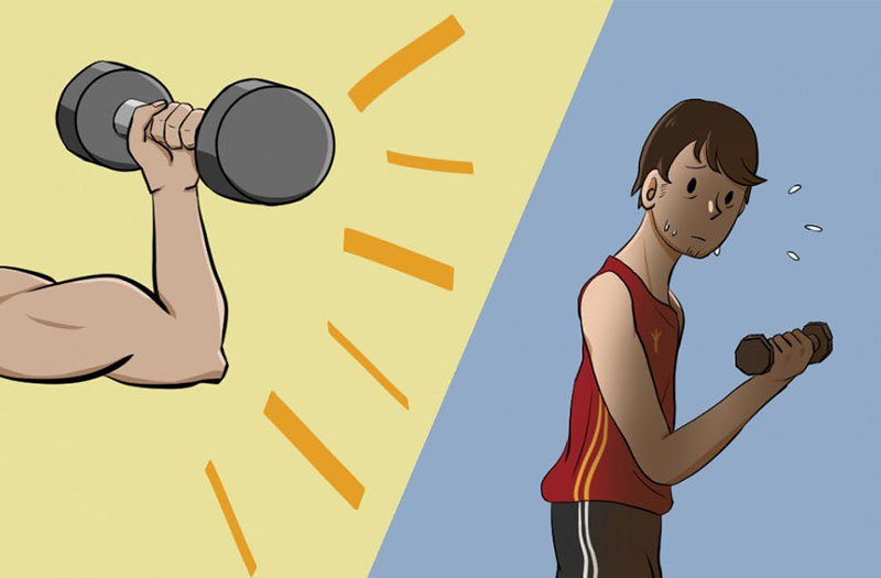 Hướng dẫn tập gym cho người mới từ lịch tập đến chế độ dinh dưỡng | Medlatec