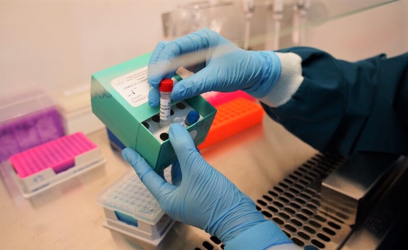 Những ứng dụng của phương pháp PCR trong ngành Y học