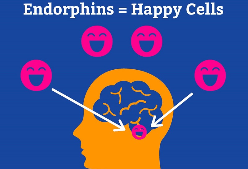 Proendorphin Endorphin là gì, tác dụng và cách khơi dậy Endorphin | Medlatec